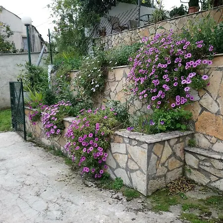 House Of Flowers * Kouspádhes