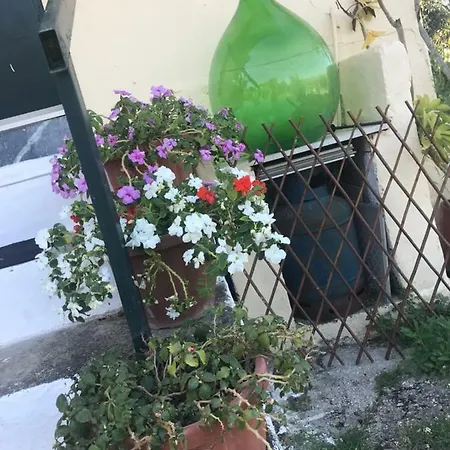 Ferienhaus House Of Flowers *