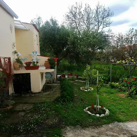House Of Flowers