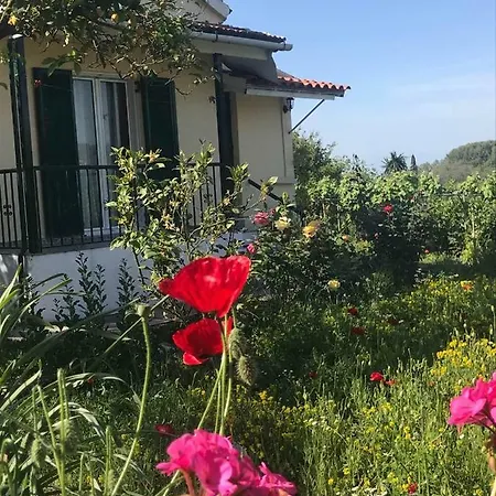 House Of Flowers Holiday home *